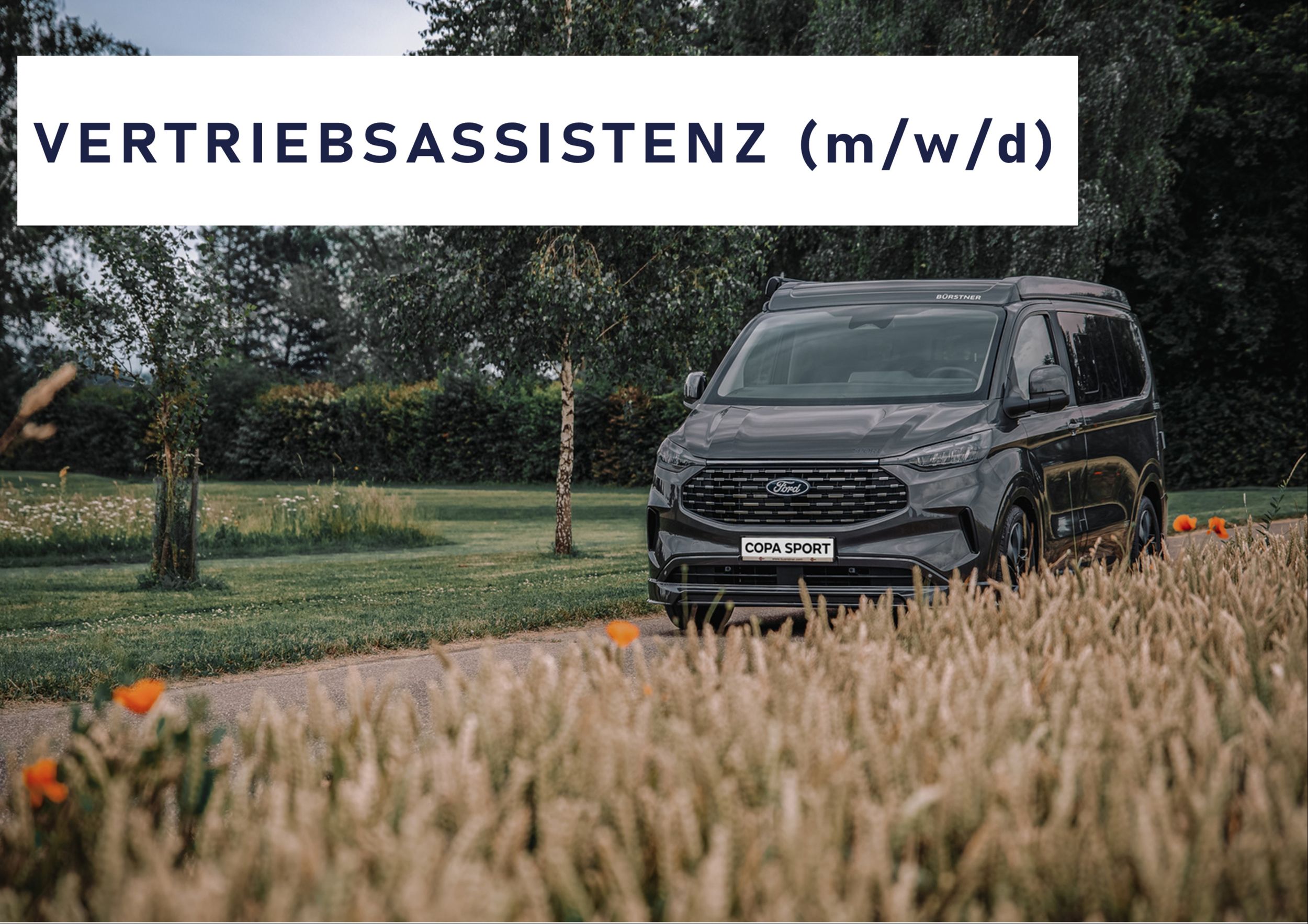 Vertriebsassistenz